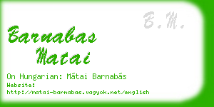 barnabas matai business card