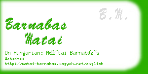 barnabas matai business card